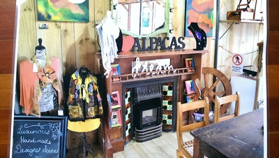 Alpaca Shop in Gordonton Waikato