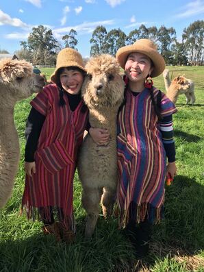 Women with alpacas at Cornerstone Alpacas New Zealand